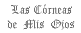 Las córneas de mis ojos